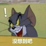 是你的汤姆猫啊头像