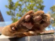 七到八月的个人资料头像