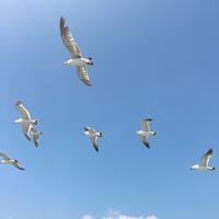 馨馨斯密达头像