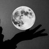 往夕何夕‘’头像