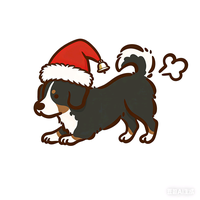 多才多艺饼干YFg头像