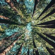 毡木的个人资料头像