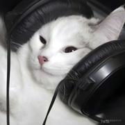 还没睡呢的个人资料头像