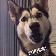 小彭带你写BUG的个人资料头像