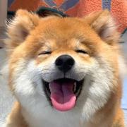 JHZI的个人资料头像