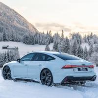 原此间山有木兮卿有意头像