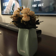 Kiveen的个人资料头像