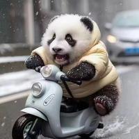 用户8851763814277头像