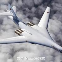 会飞的猪哦哦头像