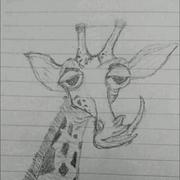 IAMNICE的个人资料头像