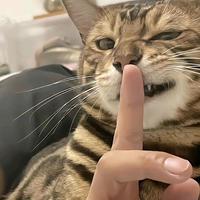 麦克劳林来了也展不开头像