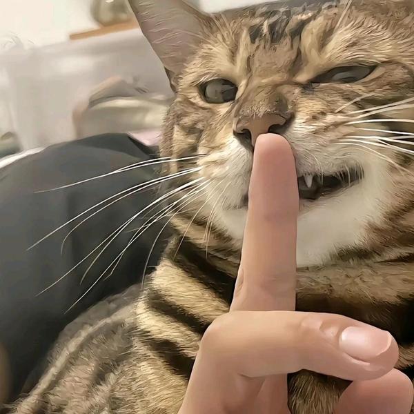 麦克劳林来了也展不开头像