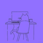 BitCat的个人资料头像