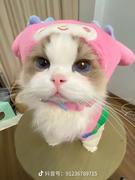 葫芦娃_的个人资料头像