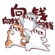 熬夜钉子户的个人资料头像