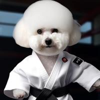 直爽好学山头像