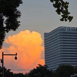 富贵的童先生头像