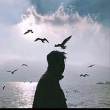 睿智尚志5u7头像