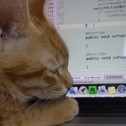 风小清的个人资料头像