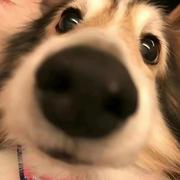 0x00000001的个人资料头像