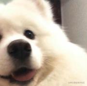 Zeworl_rod的个人资料头像