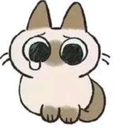 方生1的个人资料头像