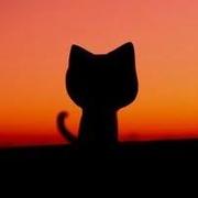 今天丹炉炸了吗的个人资料头像