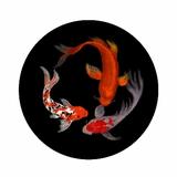 幸午吉田头像