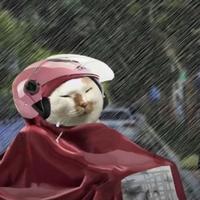 发誓要开大大滴奥迪头像