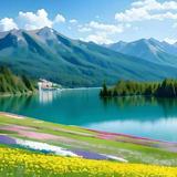 A忠林芳明家具头像