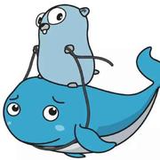 Reinhold的个人资料头像