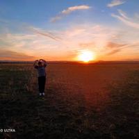 大明湖畔旁头像