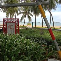 去年夏天698头像