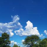 天空31909头像