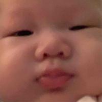 董事的西瓜头像