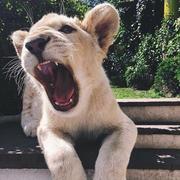 HsiuChi的个人资料头像