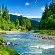 东江DJ的个人资料头像