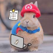 编程易行的个人资料头像