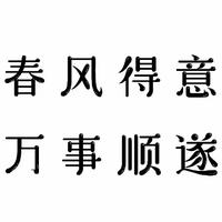 智慧晚风e8h头像