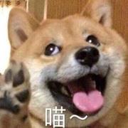 好久没学习了要努力呀的个人资料头像