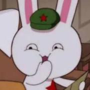 风39的个人资料头像