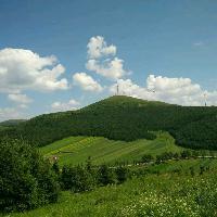 奥特慢打小怪兽头像