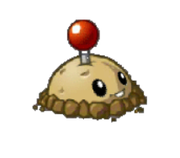 天天挖土123的个人资料头像