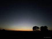 Coder_Curtis的个人资料头像