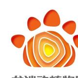 分秒必争随心而动头像