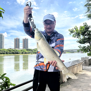 咸鱼测饵头像