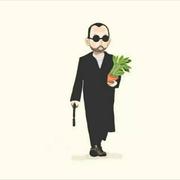 Energy的个人资料头像