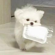 用户6368442314456的个人资料头像