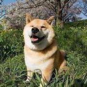 Alex883的个人资料头像