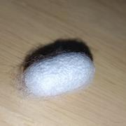 stevenZhang的个人资料头像